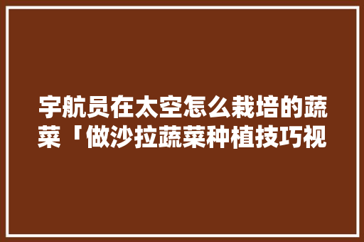 宇航员在太空怎么栽培的蔬菜「做沙拉蔬菜种植技巧视频」 宇航员在太空怎么栽培的蔬菜「做沙拉蔬菜种植技巧视频」 土壤施肥