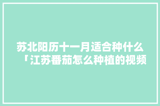 苏北阳历十一月适合种什么「江苏番茄怎么种植的视频」