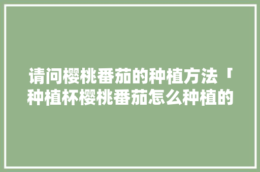 请问樱桃番茄的种植方法「种植杯樱桃番茄怎么种植的」 请问樱桃番茄的种植方法「种植杯樱桃番茄怎么种植的」 农业常识