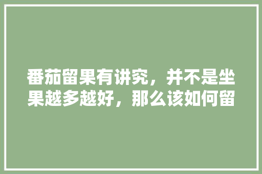 番茄留果有讲究，并不是坐果越多越好，那么该如何留果呢「番茄怎么种植才能留果呢」