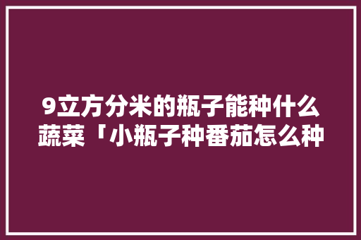 9立方分米的瓶子能种什么蔬菜「小瓶子种番茄怎么种植视频」 9立方分米的瓶子能种什么蔬菜「小瓶子种番茄怎么种植视频」 番茄病虫害防治