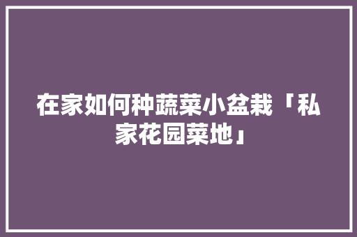 在家如何种蔬菜小盆栽「私家花园菜地」 在家如何种蔬菜小盆栽「私家花园菜地」 植物种类