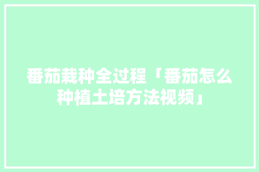 番茄栽种全过程「番茄怎么种植土培方法视频」 番茄栽种全过程「番茄怎么种植土培方法视频」 番茄种植技巧