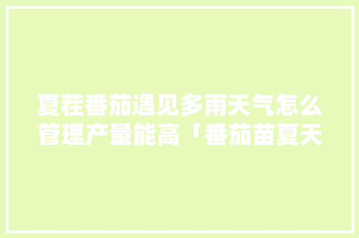 夏茬番茄遇见多雨天气怎么管理产量能高「番茄苗夏天怎么种植视频」 夏茬番茄遇见多雨天气怎么管理产量能高「番茄苗夏天怎么种植视频」 花朵知识