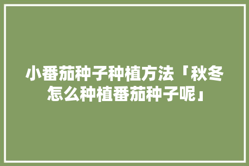 小番茄种子种植方法「秋冬怎么种植番茄种子呢」 小番茄种子种植方法「秋冬怎么种植番茄种子呢」 土壤施肥