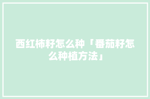 西红柿籽怎么种「番茄籽怎么种植方法」 西红柿籽怎么种「番茄籽怎么种植方法」 种植技巧