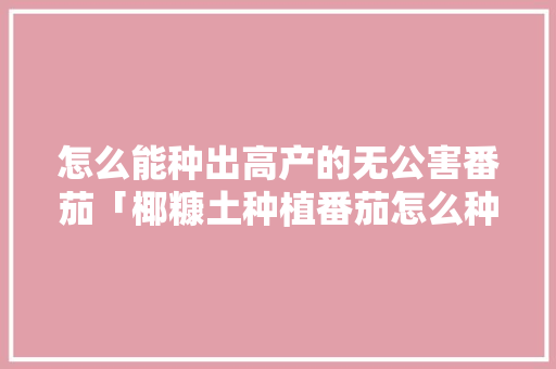 怎么能种出高产的无公害番茄「椰糠土种植番茄怎么种植的」 怎么能种出高产的无公害番茄「椰糠土种植番茄怎么种植的」 植物种类