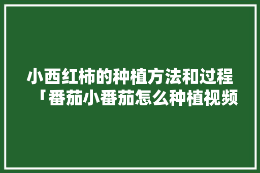 小西红柿的种植方法和过程「番茄小番茄怎么种植视频」 小西红柿的种植方法和过程「番茄小番茄怎么种植视频」 番茄病虫害防治