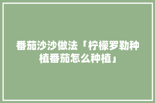 番茄沙沙做法「柠檬罗勒种植番茄怎么种植」 番茄沙沙做法「柠檬罗勒种植番茄怎么种植」 番茄种植技巧