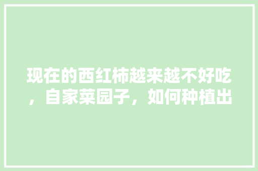 现在的西红柿越来越不好吃，自家菜园子，如何种植出好吃的西红柿「种植番茄怎么打理好看」 现在的西红柿越来越不好吃，自家菜园子，如何种植出好吃的西红柿「种植番茄怎么打理好看」 种植技巧