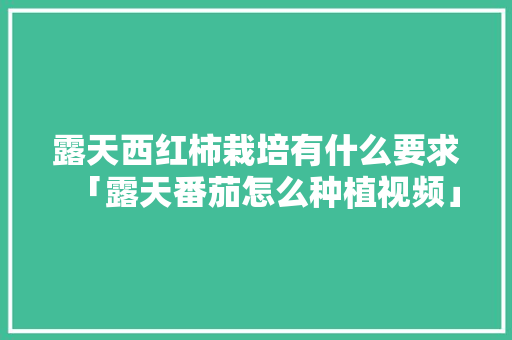 露天西红柿栽培有什么要求「露天番茄怎么种植视频」 露天西红柿栽培有什么要求「露天番茄怎么种植视频」 种植技巧