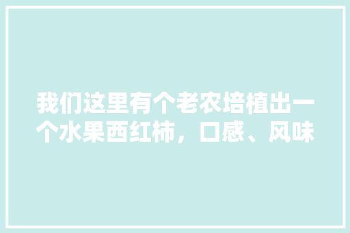 我们这里有个老农培植出一个水果西红柿，口感、风味特佳，如何把它做成一个项目呢「土豪番茄怎么种植视频教程」 我们这里有个老农培植出一个水果西红柿，口感、风味特佳，如何把它做成一个项目呢「土豪番茄怎么种植视频教程」 番茄病虫害防治