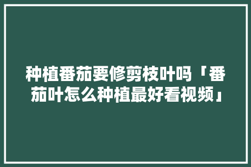 种植番茄要修剪枝叶吗「番茄叶怎么种植最好看视频」 种植番茄要修剪枝叶吗「番茄叶怎么种植最好看视频」 番茄病虫害防治