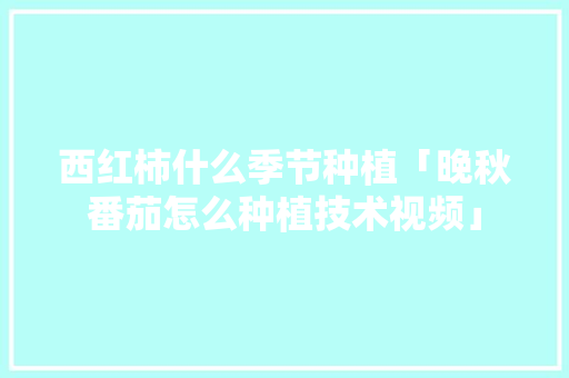 西红柿什么季节种植「晚秋番茄怎么种植技术视频」 西红柿什么季节种植「晚秋番茄怎么种植技术视频」 土壤施肥