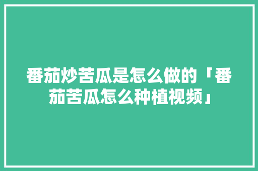 番茄炒苦瓜是怎么做的「番茄苦瓜怎么种植视频」