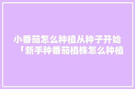 小番茄怎么种植从种子开始「新手种番茄植株怎么种植视频」 小番茄怎么种植从种子开始「新手种番茄植株怎么种植视频」 农业常识