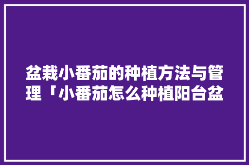 盆栽小番茄的种植方法与管理「小番茄怎么种植阳台盆栽视频」 盆栽小番茄的种植方法与管理「小番茄怎么种植阳台盆栽视频」 番茄病虫害防治