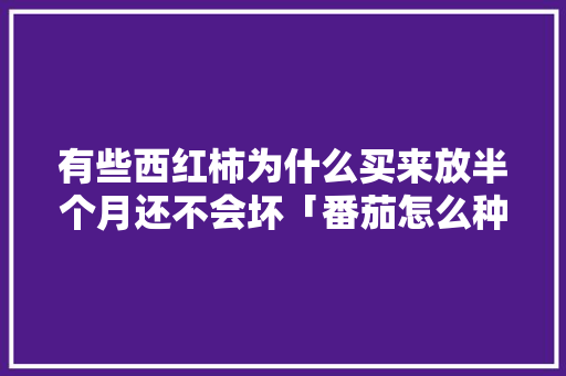 有些西红柿为什么买来放半个月还不会坏「番茄怎么种植不坏根」 有些西红柿为什么买来放半个月还不会坏「番茄怎么种植不坏根」 番茄病虫害防治