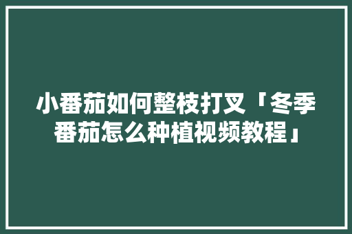 小番茄如何整枝打叉「冬季番茄怎么种植视频教程」 小番茄如何整枝打叉「冬季番茄怎么种植视频教程」 植物种类