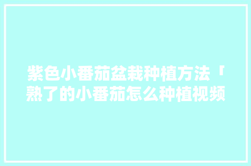 紫色小番茄盆栽种植方法「熟了的小番茄怎么种植视频」 紫色小番茄盆栽种植方法「熟了的小番茄怎么种植视频」 植物种类