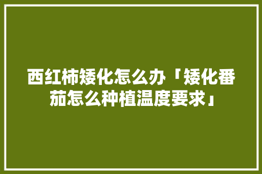 西红柿矮化怎么办「矮化番茄怎么种植温度要求」 西红柿矮化怎么办「矮化番茄怎么种植温度要求」 农业常识