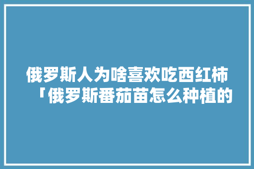 俄罗斯人为啥喜欢吃西红柿「俄罗斯番茄苗怎么种植的」