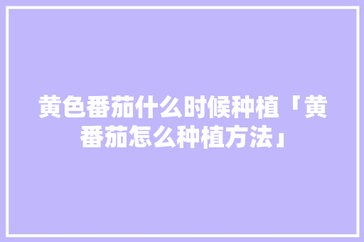 黄色番茄什么时候种植「黄番茄怎么种植方法」 黄色番茄什么时候种植「黄番茄怎么种植方法」 种植技巧