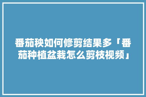 番茄秧如何修剪结果多「番茄种植盆栽怎么剪枝视频」 番茄秧如何修剪结果多「番茄种植盆栽怎么剪枝视频」 番茄病虫害防治