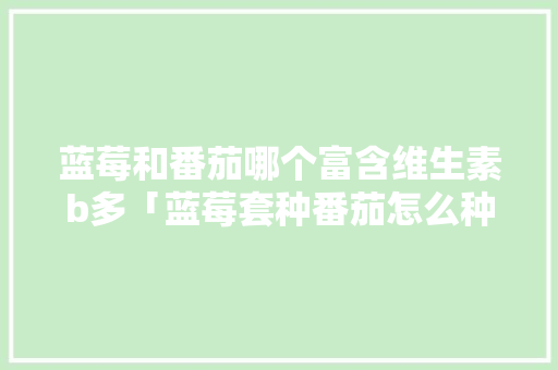 蓝莓和番茄哪个富含维生素b多「蓝莓套种番茄怎么种植视频」