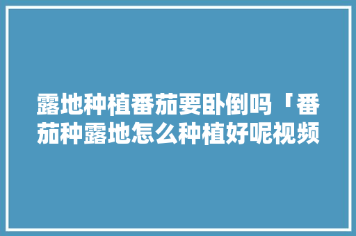 露地种植番茄要卧倒吗「番茄种露地怎么种植好呢视频」 露地种植番茄要卧倒吗「番茄种露地怎么种植好呢视频」 番茄病虫害防治
