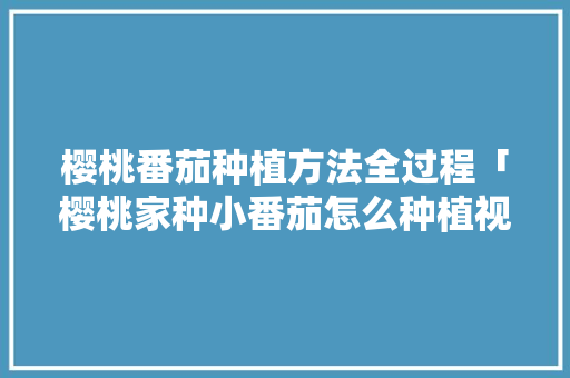 樱桃番茄种植方法全过程「樱桃家种小番茄怎么种植视频」 樱桃番茄种植方法全过程「樱桃家种小番茄怎么种植视频」 土壤施肥