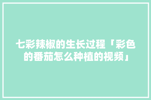 七彩辣椒的生长过程「彩色的番茄怎么种植的视频」 七彩辣椒的生长过程「彩色的番茄怎么种植的视频」 种植技巧