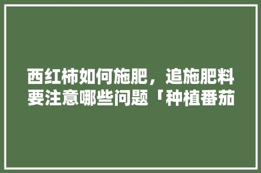 西红柿如何施肥，追施肥料要注意哪些问题「种植番茄需要怎么施肥呢」 西红柿如何施肥，追施肥料要注意哪些问题「种植番茄需要怎么施肥呢」 花朵知识