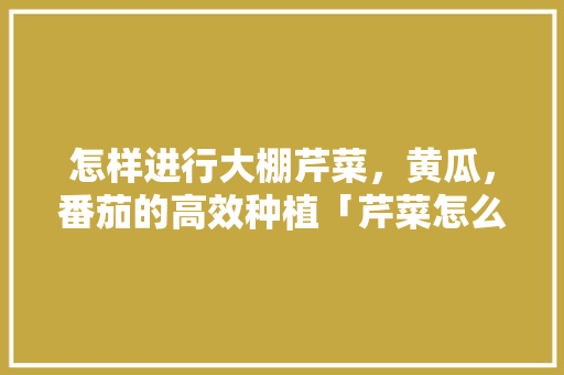 怎样进行大棚芹菜，黄瓜，番茄的高效种植「芹菜怎么种植小番茄苗视频」 怎样进行大棚芹菜，黄瓜，番茄的高效种植「芹菜怎么种植小番茄苗视频」 花朵知识