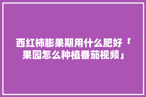 西红柿膨果期用什么肥好「果园怎么种植番茄视频」 种植技巧 西红柿膨果期用什么肥好「果园怎么种植番茄视频」 西红柿膨果期用什么肥好「果园怎么种植番茄视频」 种植技巧