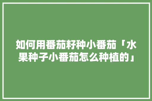 如何用番茄籽种小番茄「水果种子小番茄怎么种植的」 土壤施肥 如何用番茄籽种小番茄「水果种子小番茄怎么种植的」 如何用番茄籽种小番茄「水果种子小番茄怎么种植的」 土壤施肥