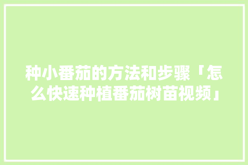 种小番茄的方法和步骤「怎么快速种植番茄树苗视频」 种小番茄的方法和步骤「怎么快速种植番茄树苗视频」 植物种类