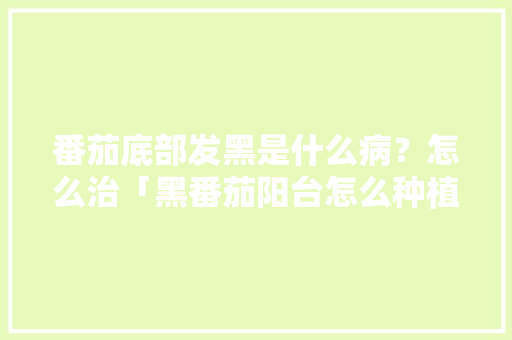 番茄底部发黑是什么病?怎么治「黑番茄阳台怎么种植视频」 农业常识 番茄底部发黑是什么病?怎么治「黑番茄阳台怎么种植视频」 番茄底部发黑是什么病?怎么治「黑番茄阳台怎么种植视频」 农业常识