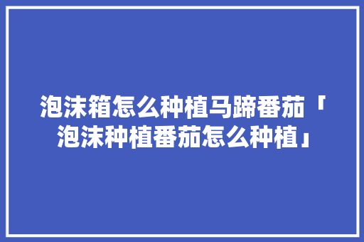 泡沫箱怎么种植马蹄番茄「泡沫种植番茄怎么种植」 泡沫箱怎么种植马蹄番茄「泡沫种植番茄怎么种植」 植物种类