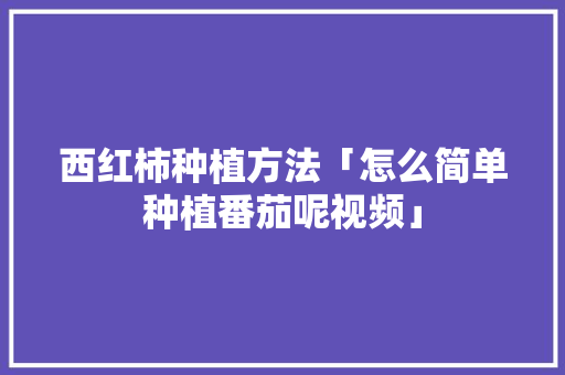 西红柿种植方法「怎么简单种植番茄呢视频」 西红柿种植方法「怎么简单种植番茄呢视频」 番茄病虫害防治