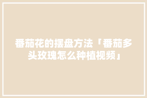 番茄花的摆盘方法「番茄多头玫瑰怎么种植视频」