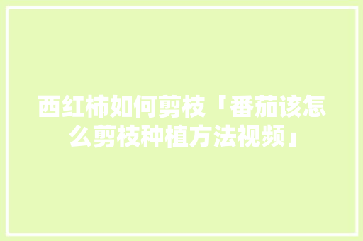 西红柿如何剪枝「番茄该怎么剪枝种植方法视频」 西红柿如何剪枝「番茄该怎么剪枝种植方法视频」 种植技巧