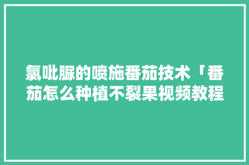 氯吡脲的喷施番茄技术「番茄怎么种植不裂果视频教程」 氯吡脲的喷施番茄技术「番茄怎么种植不裂果视频教程」 种植技巧