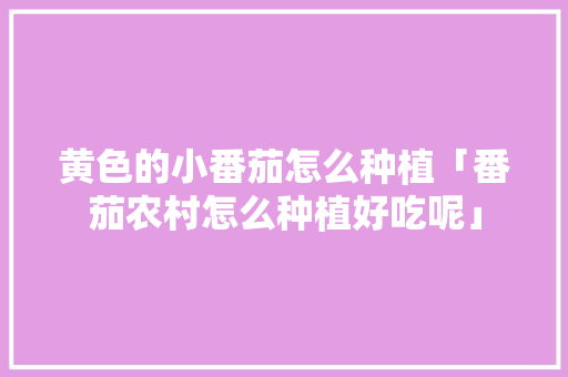 黄色的小番茄怎么种植「番茄农村怎么种植好吃呢」 黄色的小番茄怎么种植「番茄农村怎么种植好吃呢」 农业常识