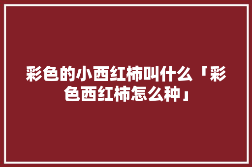 彩色的小西红柿叫什么「彩色西红柿怎么种」 彩色的小西红柿叫什么「彩色西红柿怎么种」 种植技巧