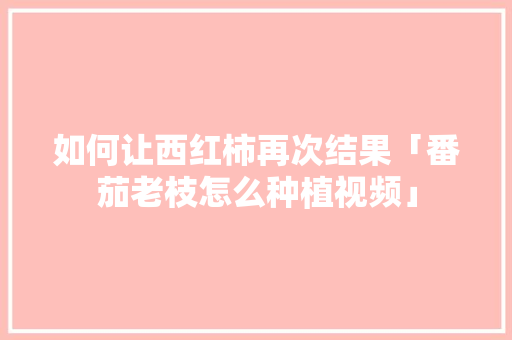 如何让西红柿再次结果「番茄老枝怎么种植视频」 如何让西红柿再次结果「番茄老枝怎么种植视频」 花朵知识