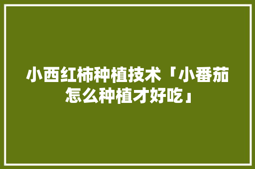 小西红柿种植技术「小番茄怎么种植才好吃」 小西红柿种植技术「小番茄怎么种植才好吃」 番茄病虫害防治