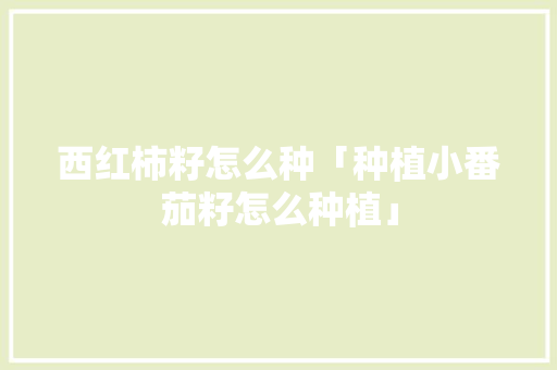 西红柿籽怎么种「种植小番茄籽怎么种植」 番茄病虫害防治 西红柿籽怎么种「种植小番茄籽怎么种植」 西红柿籽怎么种「种植小番茄籽怎么种植」 番茄病虫害防治