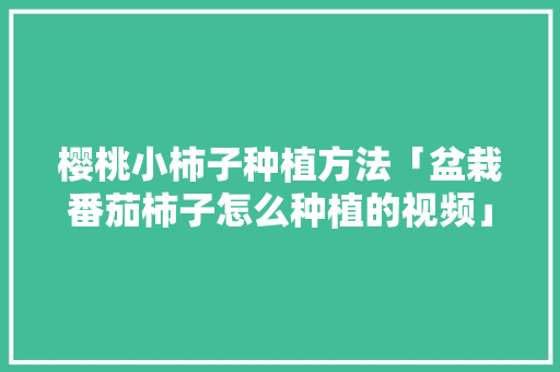 樱桃小柿子种植方法「盆栽番茄柿子怎么种植的视频」 樱桃小柿子种植方法「盆栽番茄柿子怎么种植的视频」 番茄病虫害防治