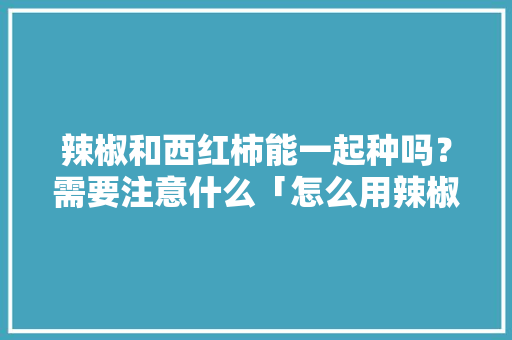 辣椒和西红柿能一起种吗？需要注意什么「怎么用辣椒杂交番茄种植视频」 辣椒和西红柿能一起种吗？需要注意什么「怎么用辣椒杂交番茄种植视频」 种植技巧